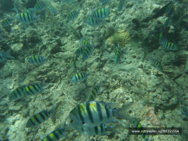 photo 497415