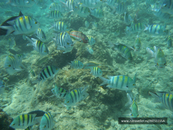 photo 497418
