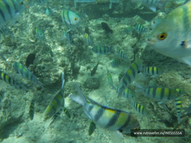 photo 497422