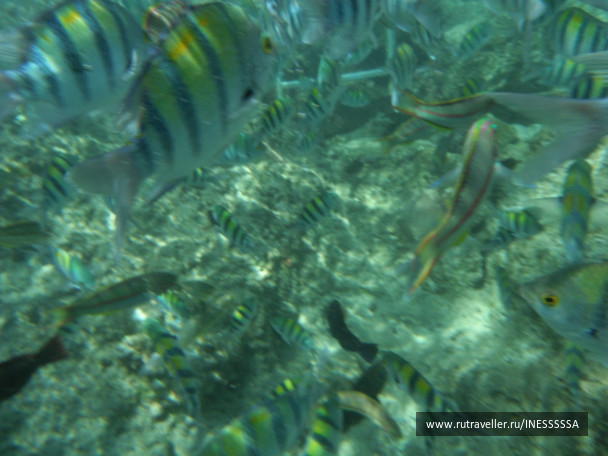 photo 497423