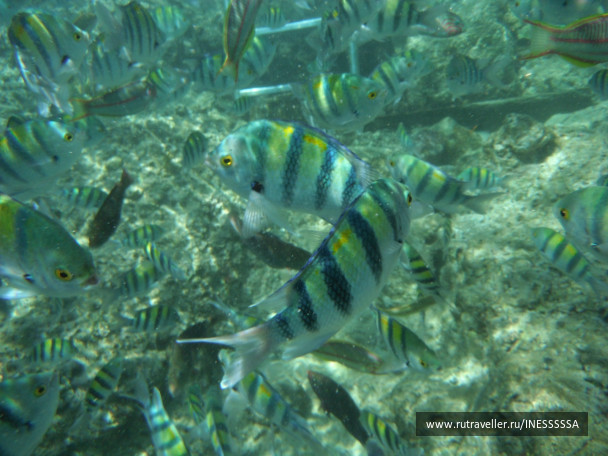 photo 497424