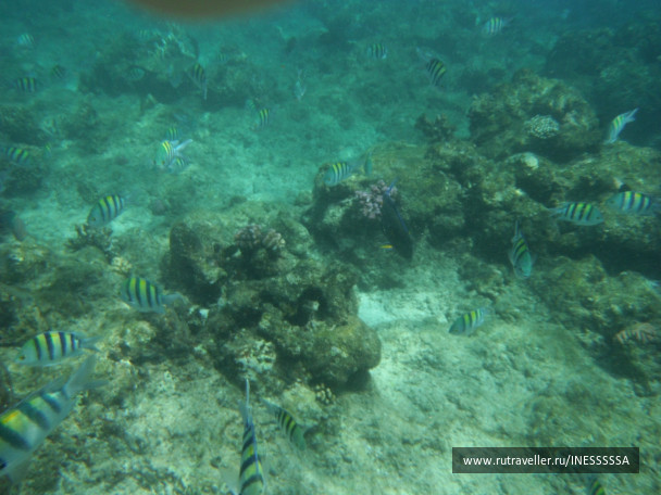 photo 497430