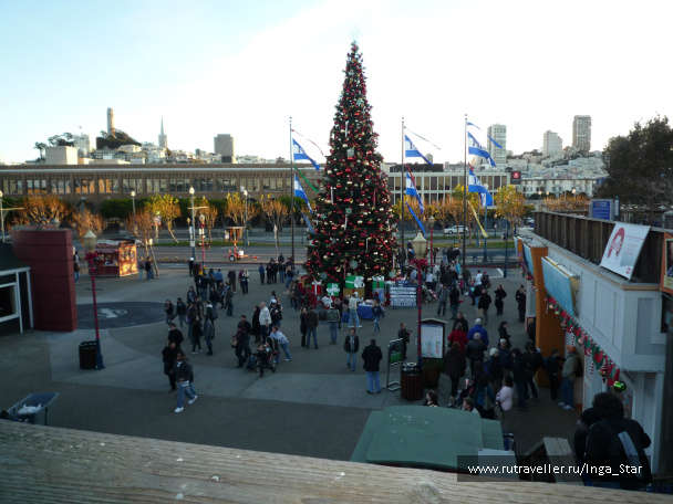 photo 56799