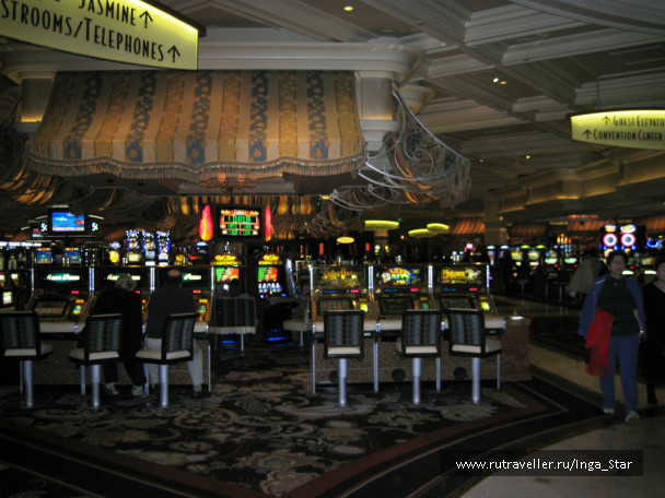 photo 247225