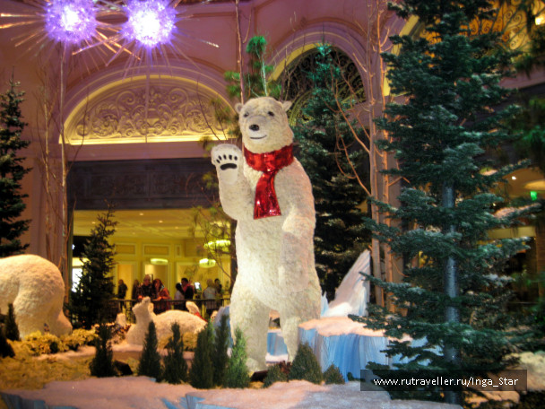 photo 247230
