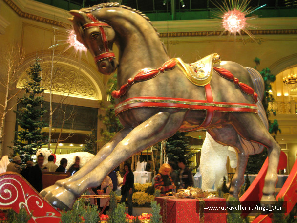 photo 247232