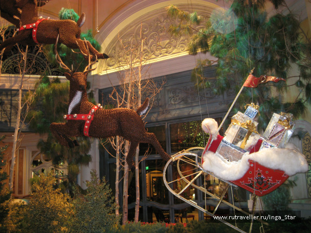 photo 247233