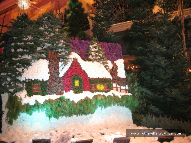 photo 247234