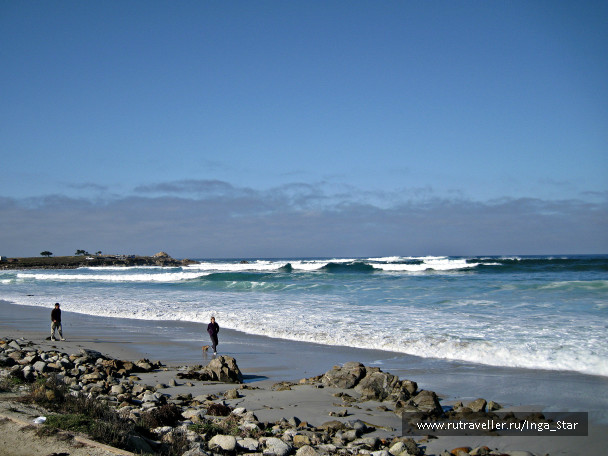 photo 1232750