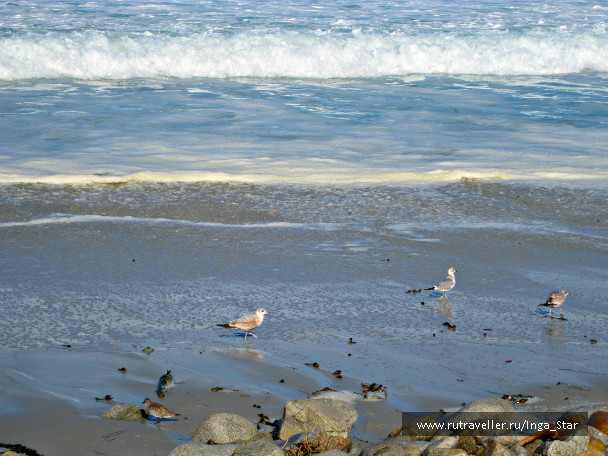 photo 1232751