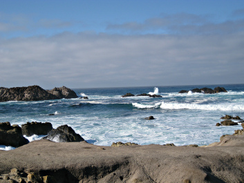 photo 1233608