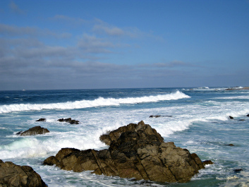 photo 1233609