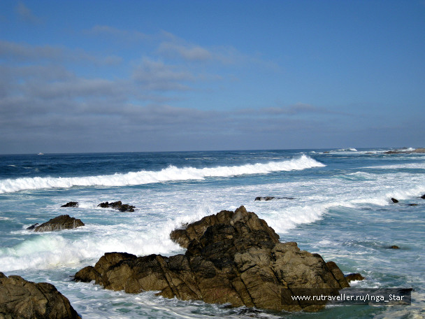 photo 1233609