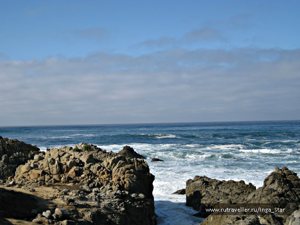 photo 1233610