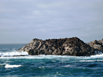 photo 1234479