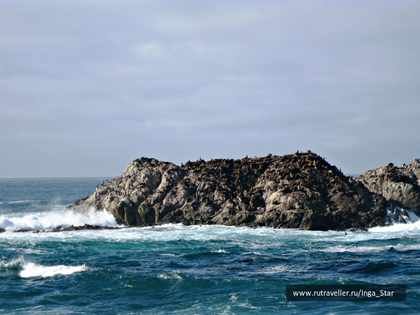photo 1234479