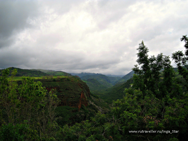 photo 1220045