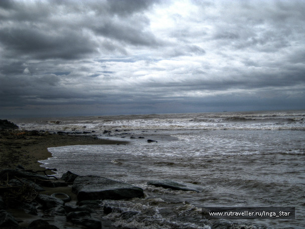 photo 1220743