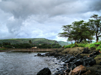 photo 1220746