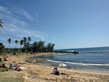 photo 1226878