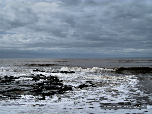 photo 1242919