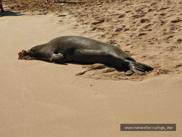 photo 1245138