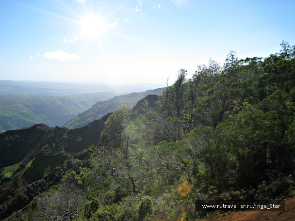 photo 1255424