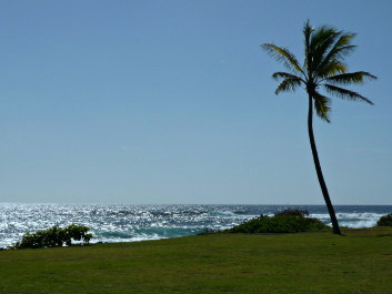 photo 1265393