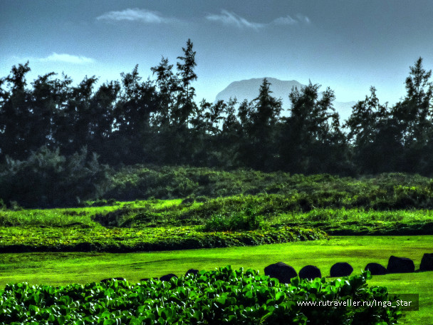 photo 1397663