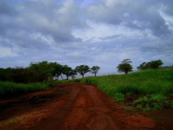 photo 685491