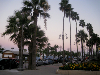 photo 683743