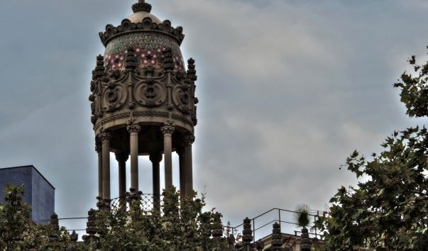 DSCN0129_t