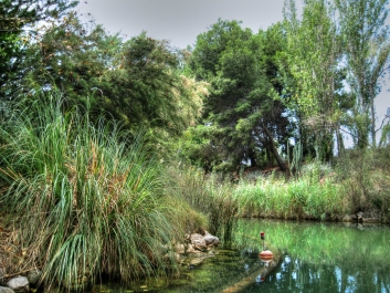 photo 931732