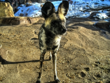 photo 938669