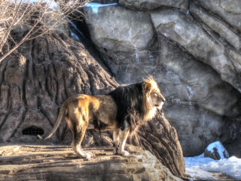 photo 938670