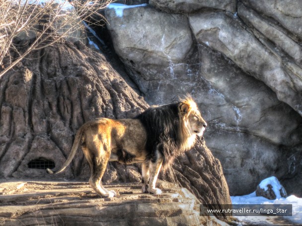 photo 938670