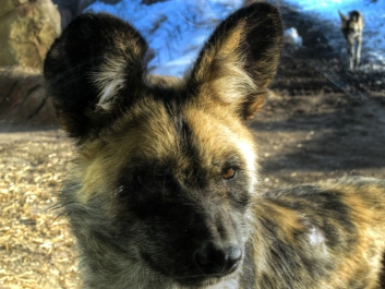 photo 938676