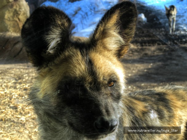 photo 938676
