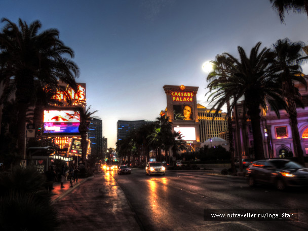 photo 1179832