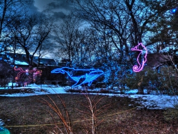 photo 935137