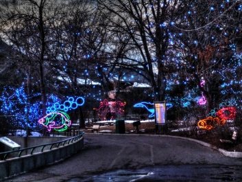 photo 935142