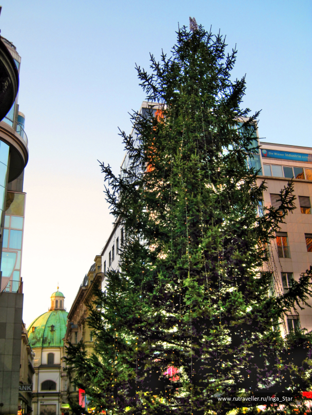 photo 1200122