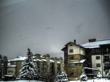photo 1181979