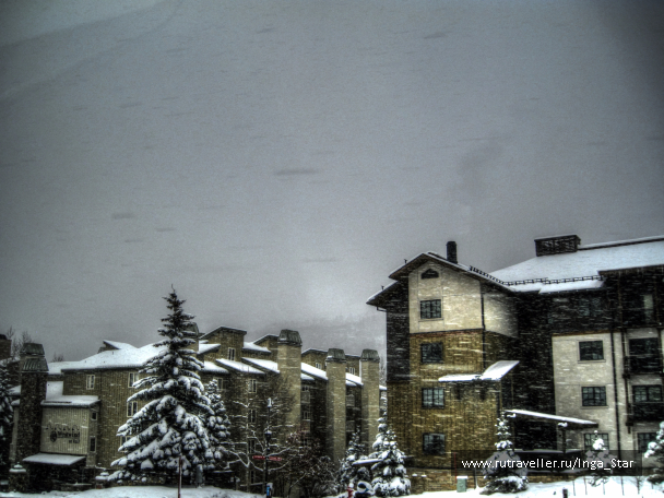 photo 1181979