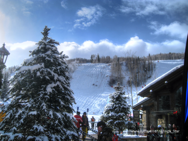 photo 1184614