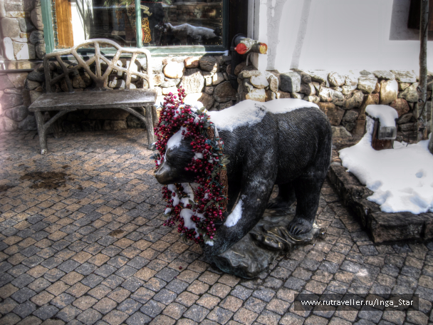 photo 1184617