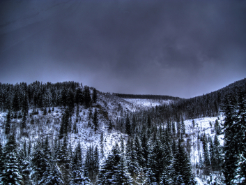 photo 1179760