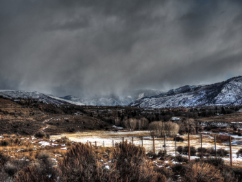photo 1179763