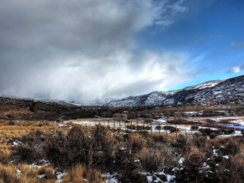 photo 1179767