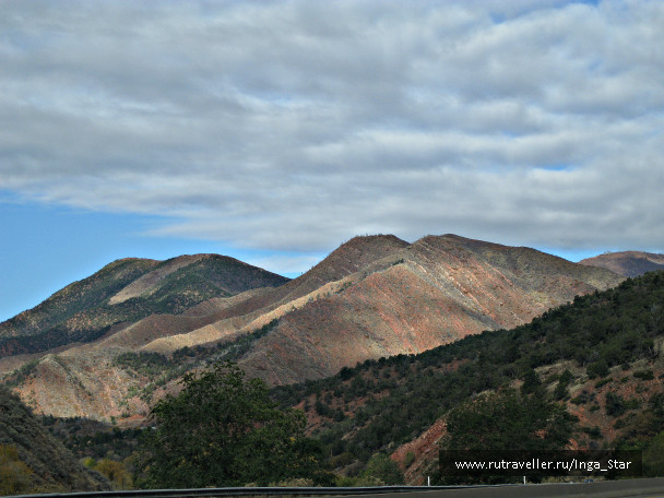 photo 1233603